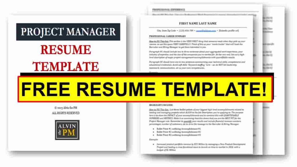 Alvin's Project Manager Resume Template